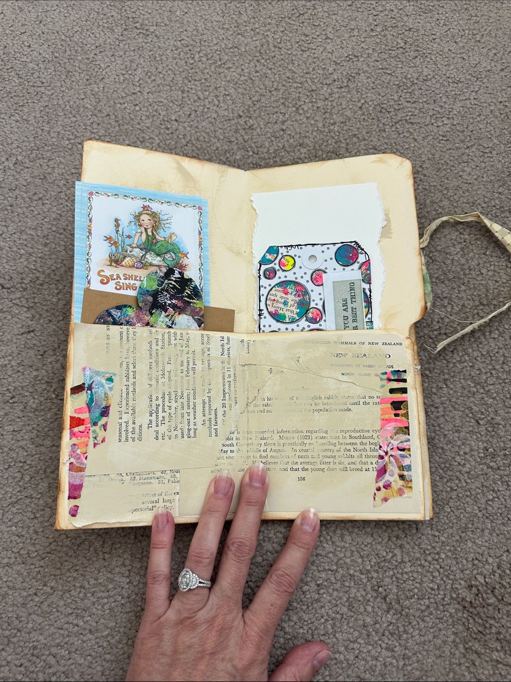 Ephemera keeper - Picture 3 of 7
